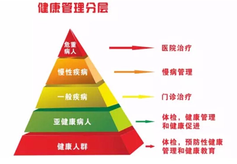 如何成为一名专业的运动康复师？你需要了解哪些关键技能和知识？