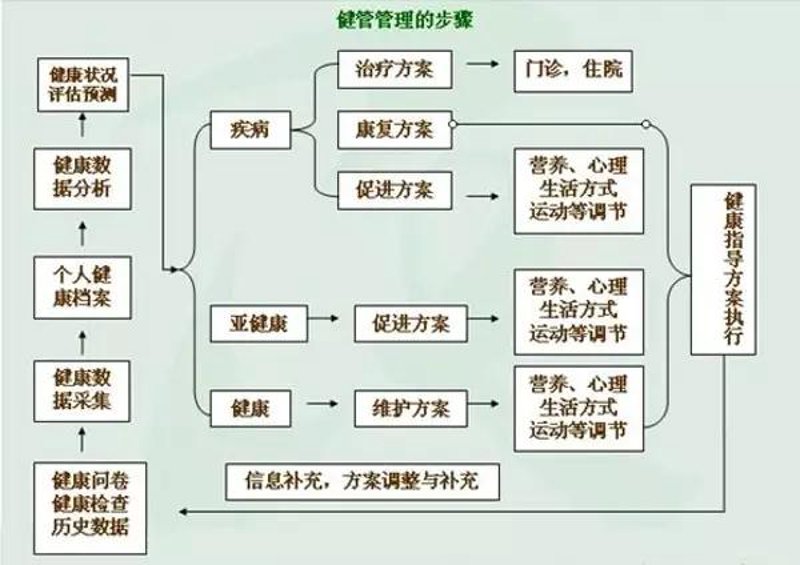如何成为一名专业的运动康复师？你需要了解哪些关键技能和步骤？